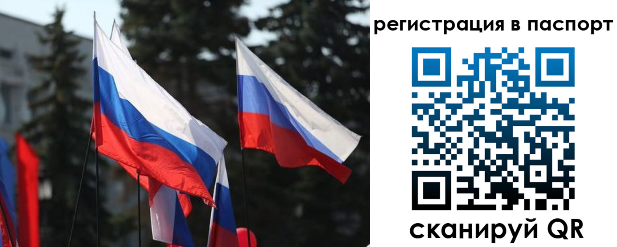 прописка штамп в Балтийске